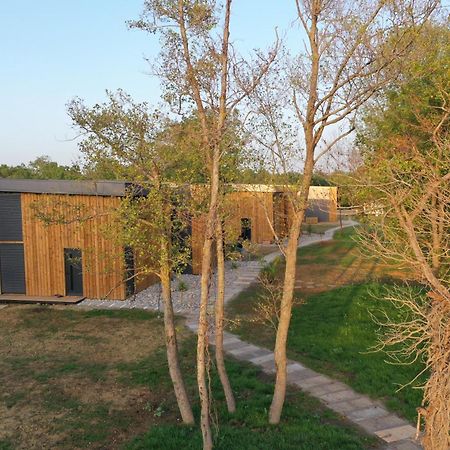Salinas Nest - Ulcinj Stoj Ada Bojana Villa Eksteriør bilde